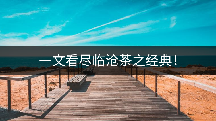 一文看盡臨滄茶之經(jīng)典！
