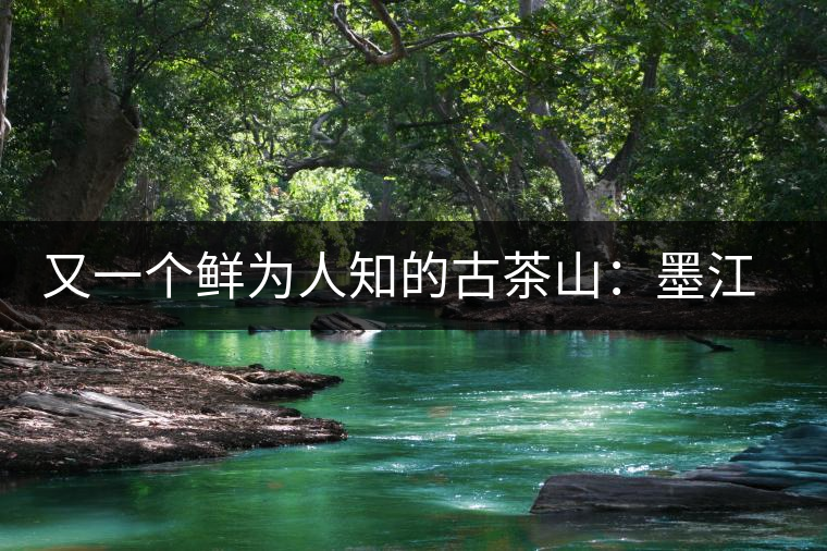 又一個鮮為人知的古茶山：墨江須立貢茶