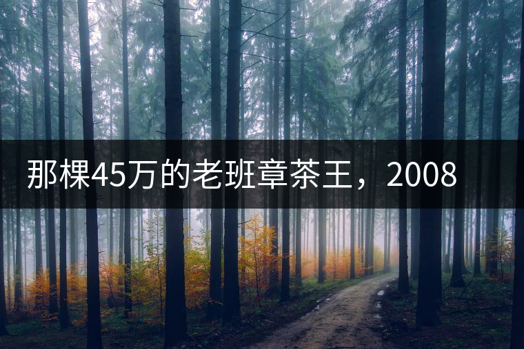 那棵45萬的老班章茶王，2008年是什么樣子的？