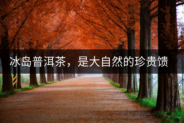 冰島普洱茶，是大自然的珍貴饋贈