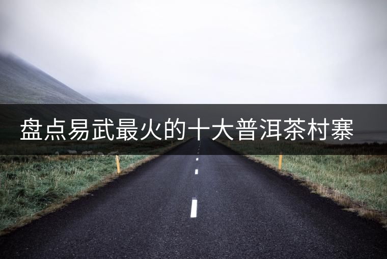 盤(pán)點(diǎn)易武最火的十大普洱茶村寨(排名不分先后) 盤(pán)點(diǎn)易武最火的十大普洱茶村寨(排名不分先后)