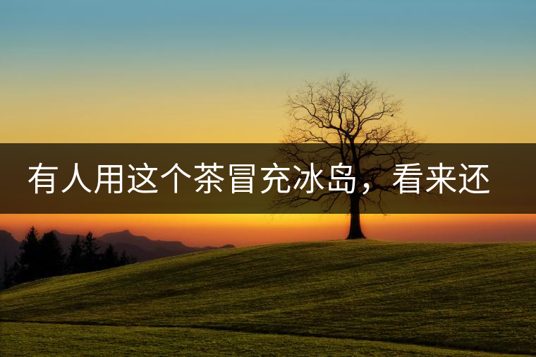 有人用這個茶冒充冰島，看來還是有幾分道理