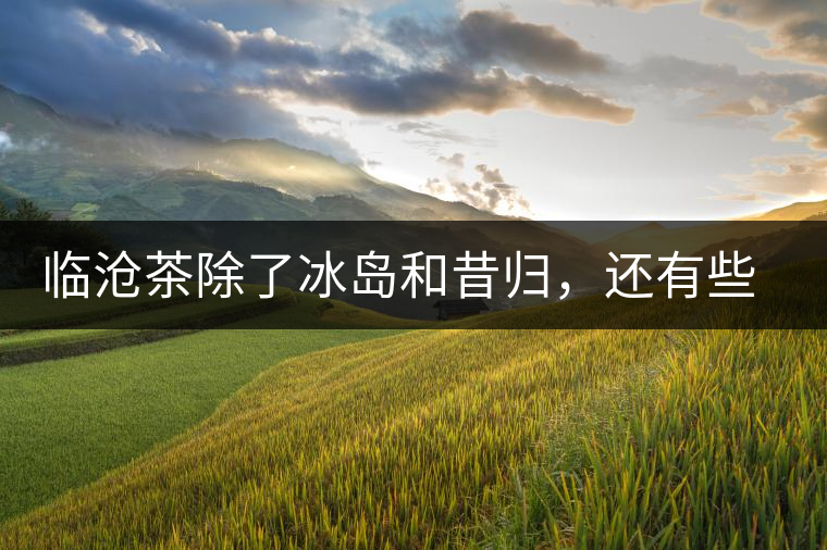 臨滄茶除了冰島和昔歸，還有些什么？