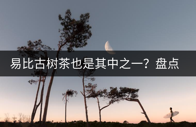 易比古樹茶也是其中之一？盤點當下易武最火的十大古樹茶！