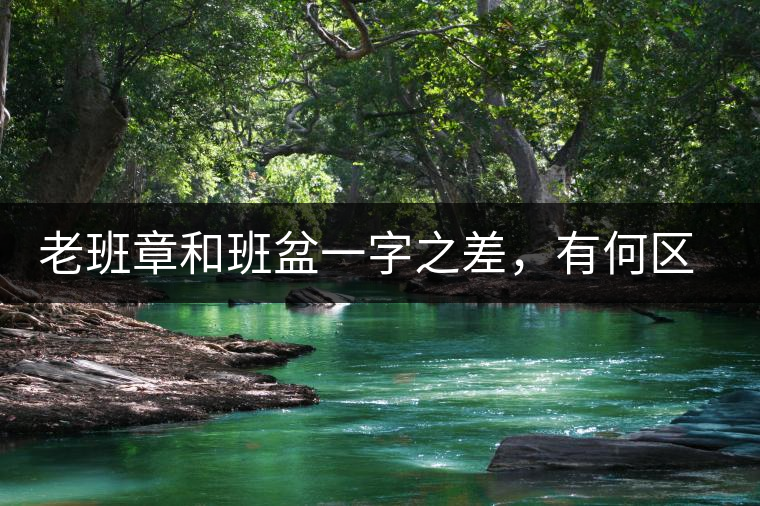 老班章和班盆一字之差，有何區(qū)別