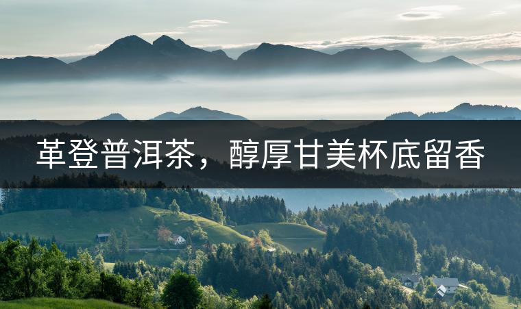 革登普洱茶，醇厚甘美杯底留香