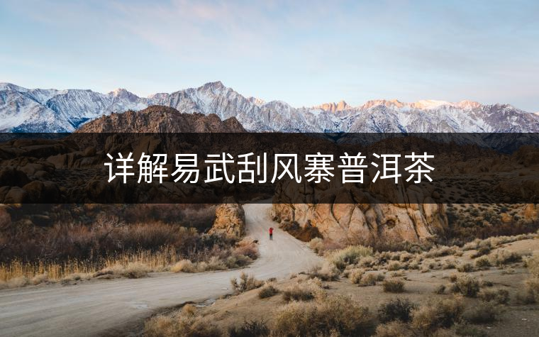 詳解易武刮風寨普洱茶