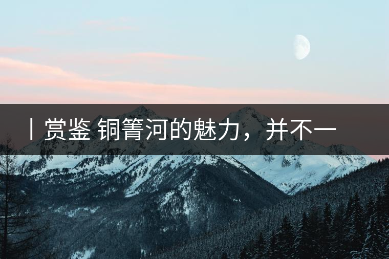 丨賞鑒 銅箐河的魅力，并不一定要古樹來體現(xiàn)