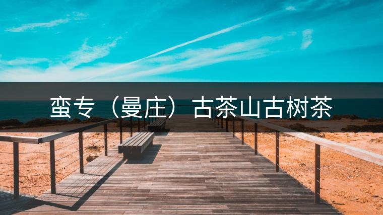 蠻專（曼莊）古茶山古樹茶
