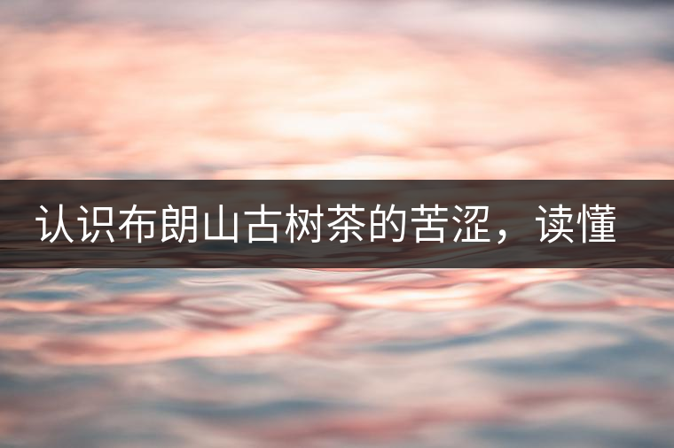 認(rèn)識(shí)布朗山古樹茶的苦澀，讀懂勐海普洱茶