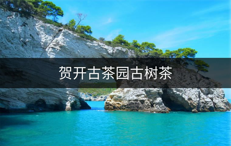 賀開古茶園古樹茶 賀開古茶園古樹茶