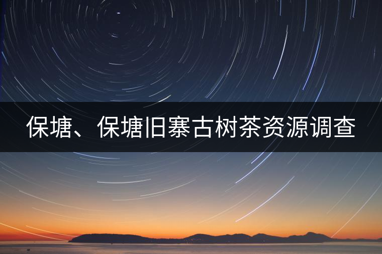 保塘、保塘舊寨古樹茶資源調(diào)查