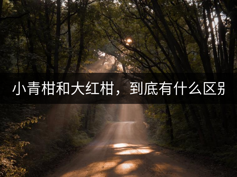 小青柑和大紅柑，到底有什么區(qū)別？