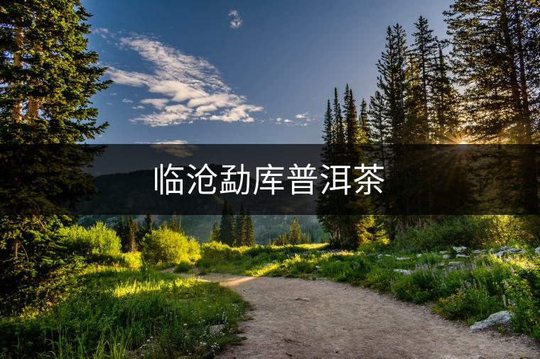 臨滄勐庫普洱茶 臨滄勐庫普洱茶