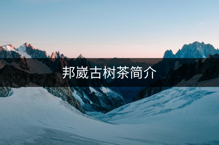 邦崴古樹茶簡介