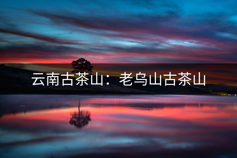 云南古茶山：老烏山古茶山