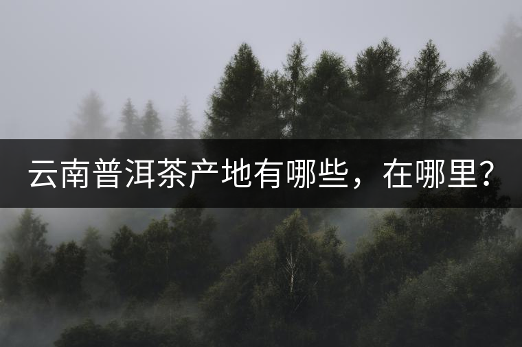 云南普洱茶產(chǎn)地有哪些，在哪里？
