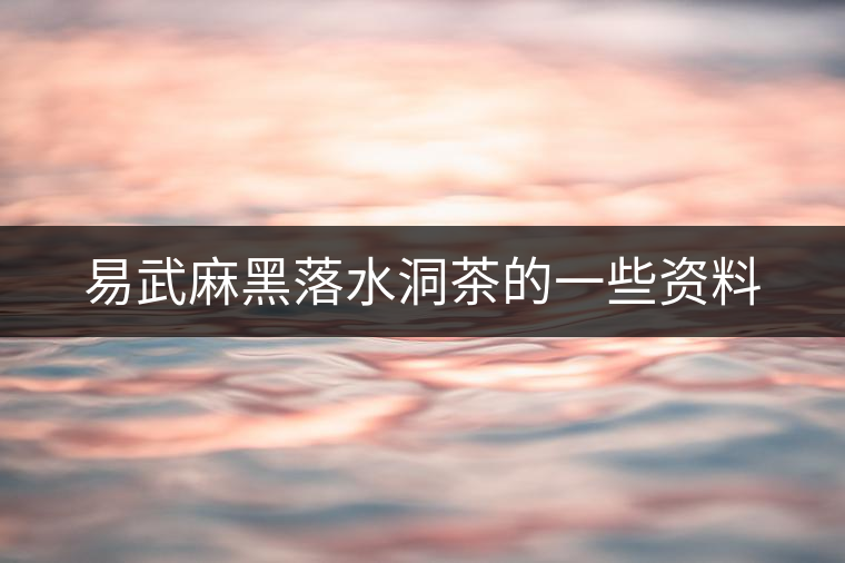 易武麻黑落水洞茶的一些資料 易武麻黑落水洞茶的一些資料