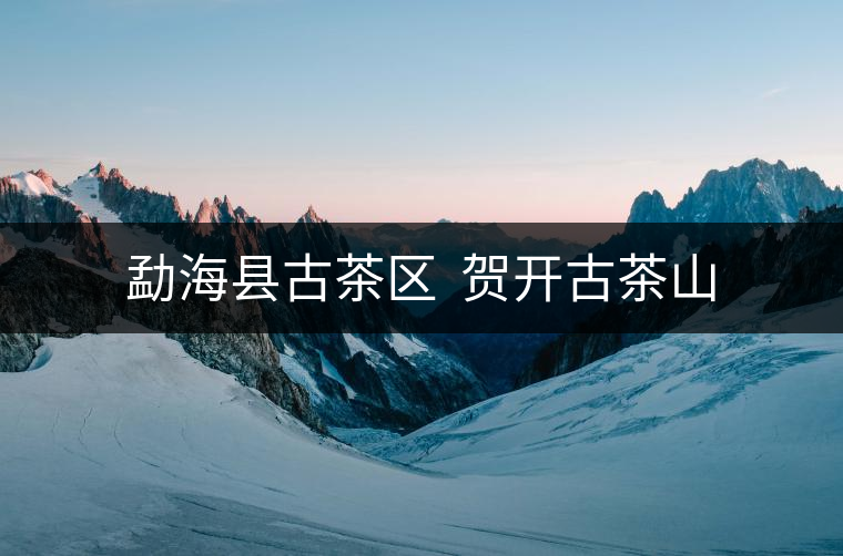 勐海縣古茶區(qū) 賀開古茶山 勐??h古茶區(qū) 賀開古茶山