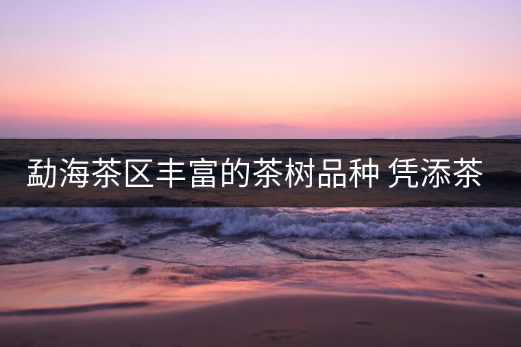 勐海茶區(qū)豐富的茶樹品種 憑添茶林的多姿風彩 勐海茶區(qū)豐富的茶樹品種 憑添茶林的多姿風彩