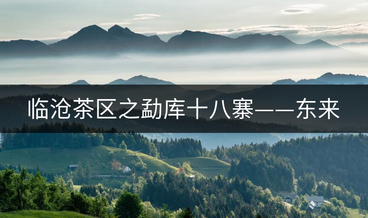 臨滄茶區(qū)之勐庫(kù)十八寨——東來(lái) 臨滄茶區(qū)之勐庫(kù)十八寨——東來(lái)