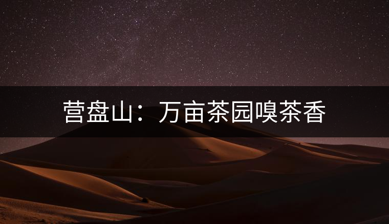 營(yíng)盤山：萬(wàn)畝茶園嗅茶香