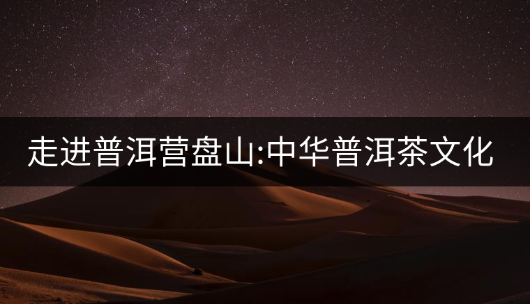 走進(jìn)普洱營(yíng)盤山:中華普洱茶文化博覽苑