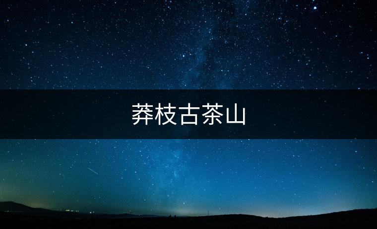 莽枝古茶山