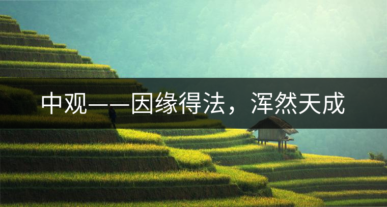 中觀——因緣得法，渾然天成
