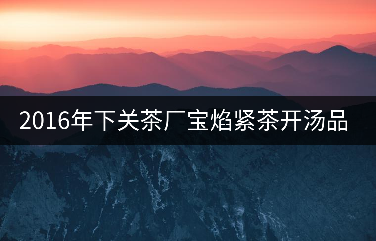 2016年下關(guān)茶廠寶焰緊茶開(kāi)湯品鑒 2016年下關(guān)茶廠寶焰緊茶開(kāi)湯品鑒