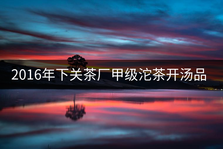 2016年下關茶廠甲級沱茶開湯品鑒 2016年下關茶廠甲級沱茶開湯品鑒
