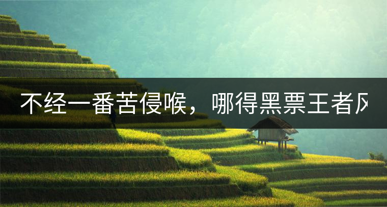 不經(jīng)一番苦侵喉，哪得黑票王者風！