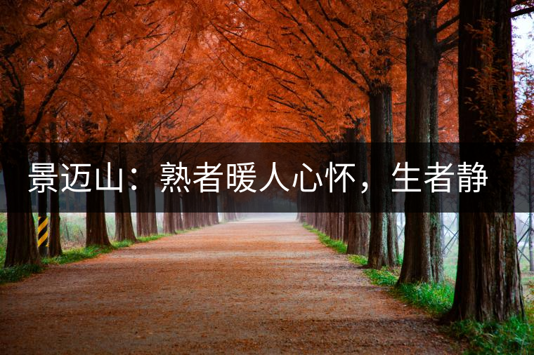 景邁山：熟者暖人心懷，生者靜品歲月