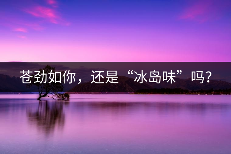 蒼勁如你，還是“冰島味”嗎？