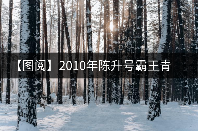 【圖閱】2010年陳升號(hào)霸王青餅開(kāi)湯 【圖閱】2010年陳升號(hào)霸王青餅開(kāi)湯