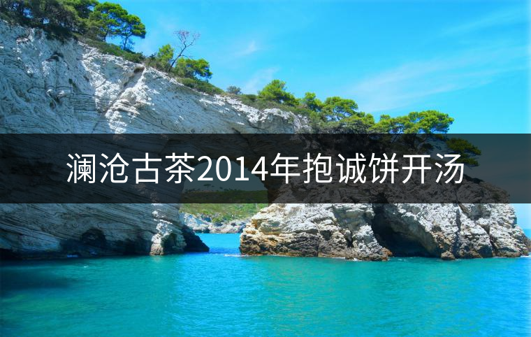 瀾滄古茶2014年抱誠餅開湯 瀾滄古茶2014年抱誠餅開湯