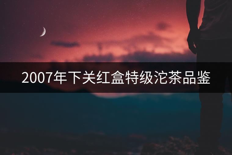 2007年下關紅盒特級沱茶品鑒 2007年下關紅盒特級沱茶品鑒