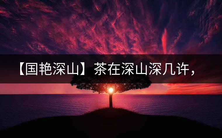 【國艷深山】茶在深山深幾許，布朗味釅釅幾分！