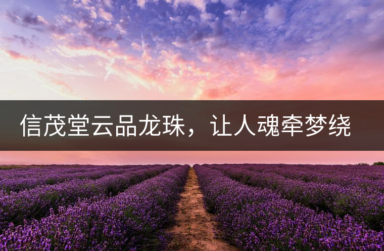 信茂堂云品龍珠，讓人魂?duì)繅?mèng)繞的尤物