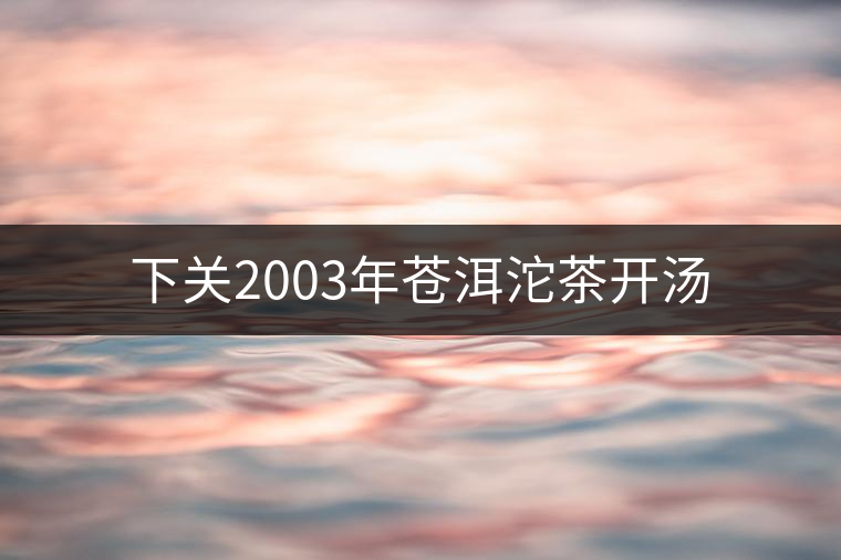 下關(guān)2003年蒼洱沱茶開湯 下關(guān)2003年蒼洱沱茶開湯