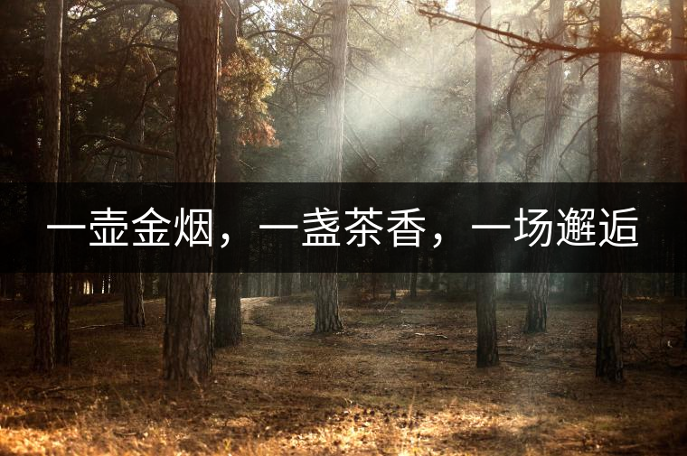 一壺金煙，一盞茶香，一場邂逅