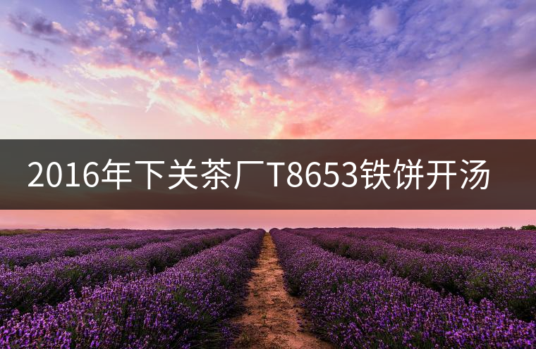 2016年下關茶廠T8653鐵餅開湯賞析 2016年下關茶廠T8653鐵餅開湯賞析