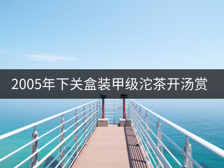 2005年下關(guān)盒裝甲級(jí)沱茶開(kāi)湯賞析 2005年下關(guān)盒裝甲級(jí)沱茶開(kāi)湯賞析