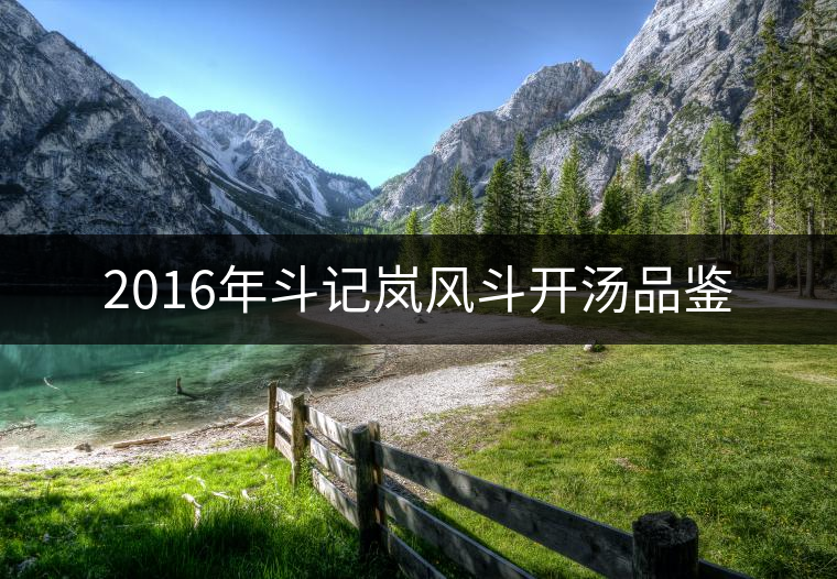 2016年斗記嵐風(fēng)斗開湯品鑒 2016年斗記嵐風(fēng)斗開湯品鑒
