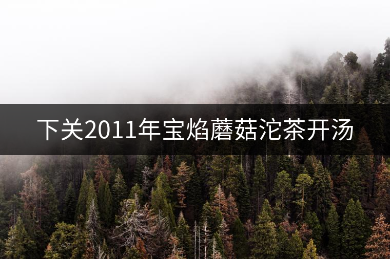 下關(guān)2011年寶焰蘑菇沱茶開(kāi)湯 下關(guān)2011年寶焰蘑菇沱茶開(kāi)湯