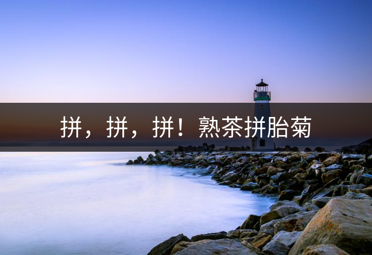 拼，拼，拼！熟茶拼胎菊