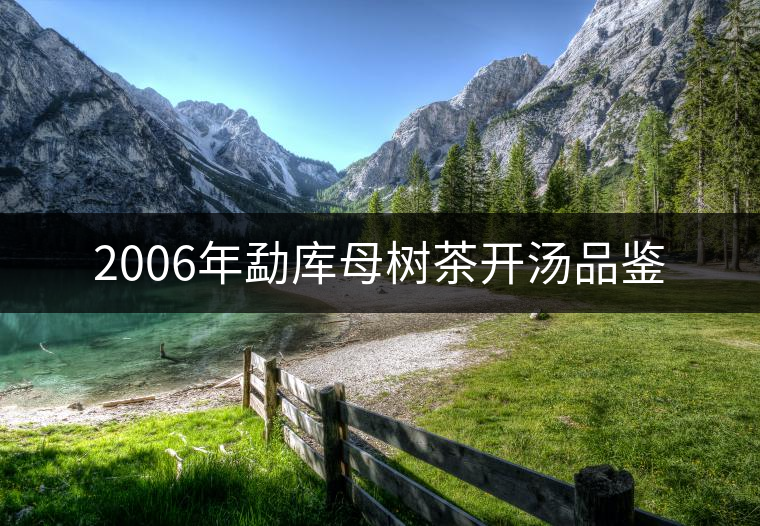 2006年勐庫母樹茶開湯品鑒 2006年勐庫母樹茶開湯品鑒