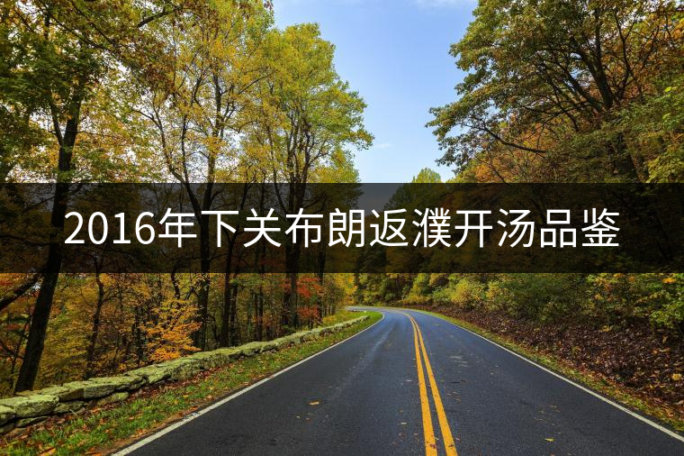 2016年下關布朗返濮開湯品鑒 2016年下關布朗返濮開湯品鑒
