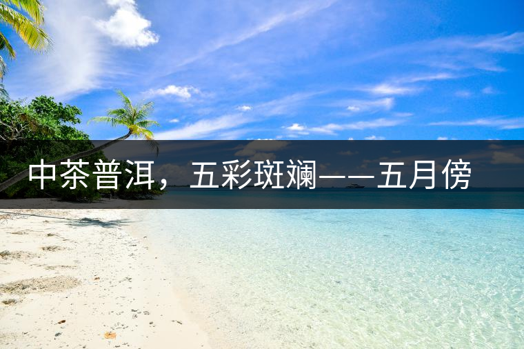 中茶普洱，五彩斑斕——五月傍晚，一道茶