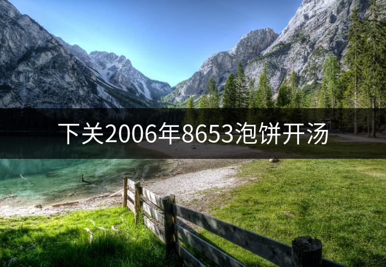 下關(guān)2006年8653泡餅開(kāi)湯 下關(guān)2006年8653泡餅開(kāi)湯